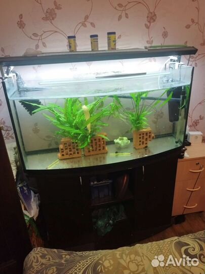 Аквариум aquael