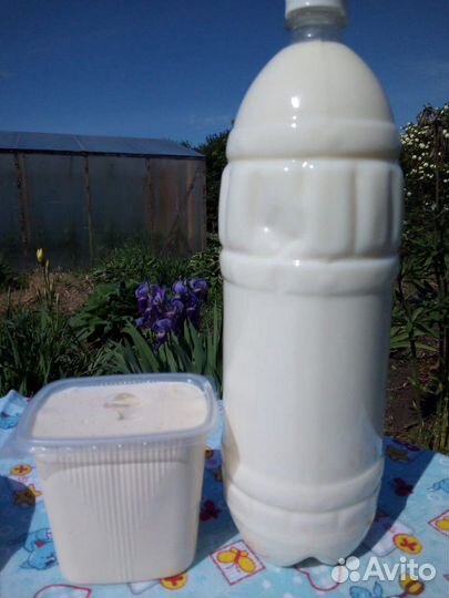 Домашнее молоко