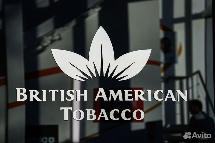 Аудитор с авто Зеленогорск (без опыта)