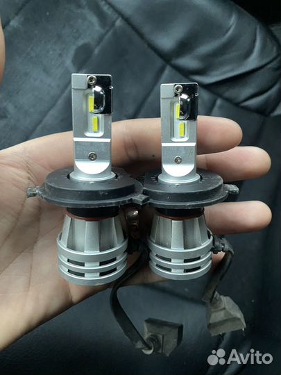 Светодиодные лампочки Narva h4