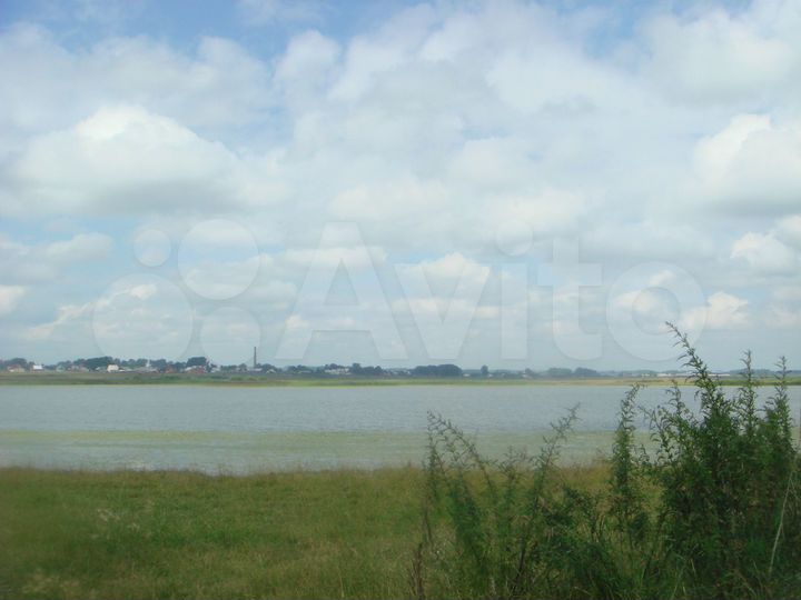 Участок 100 сот. (СНТ, ДНП)