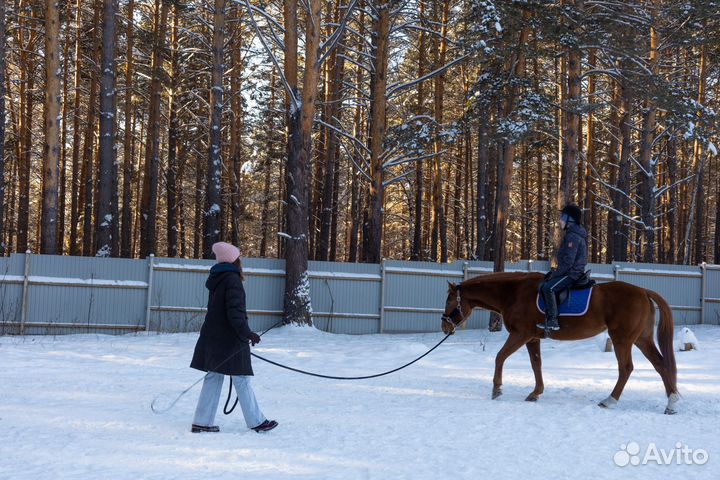 Фотссесия с лошадью