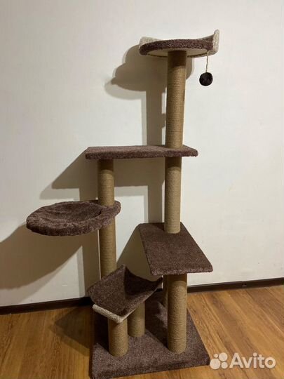 Шоколадный игровой комплекс для котят и котиков