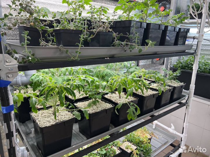 Открой ситиферму в своем городе