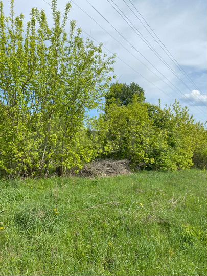 Дом 65 м² на участке 50 сот.