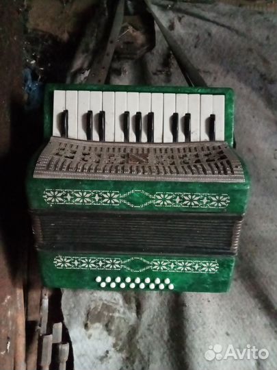 Аккордеон малыш