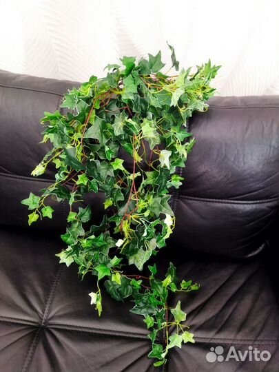 Искусственные комнатные цветы плющь