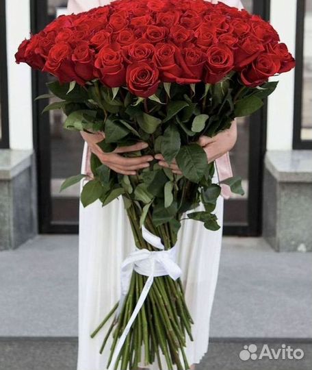 Розы Букеты Цветы Розы 31 101 151 201 Доставка