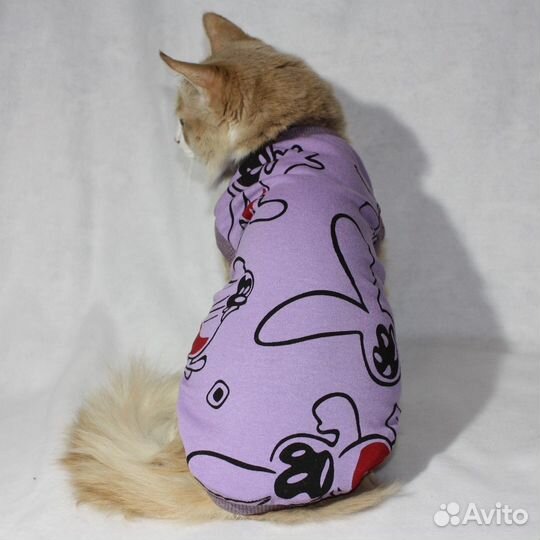 Одежда для животных