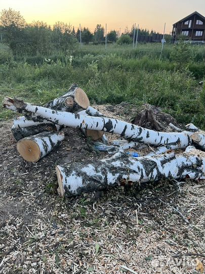 Очистка участка, покос травы, спил деревьев