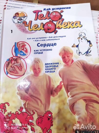 Собрать человека