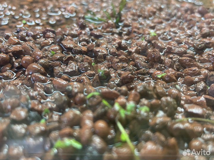 Аквариум полный комплект