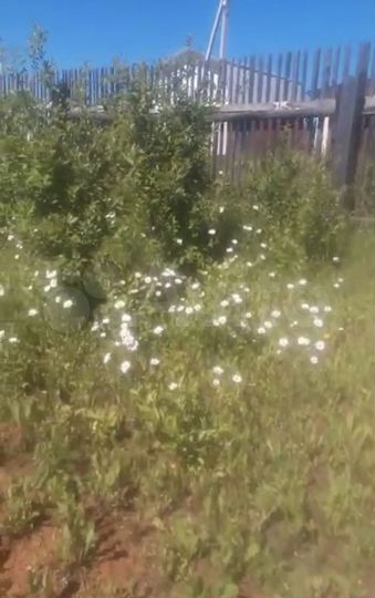 Дом 93 м² на участке 21 сот.