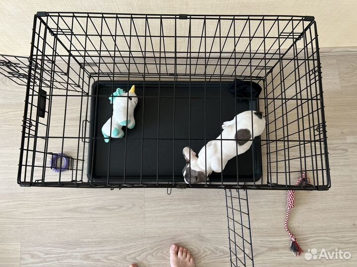 Клетка вольер для собак