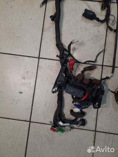 Жгут проводов KTM Duke 390 2019