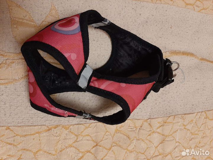 Одежда для собак