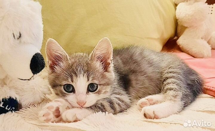 Ника ждет мам и пап