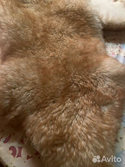 Шкурка ламы