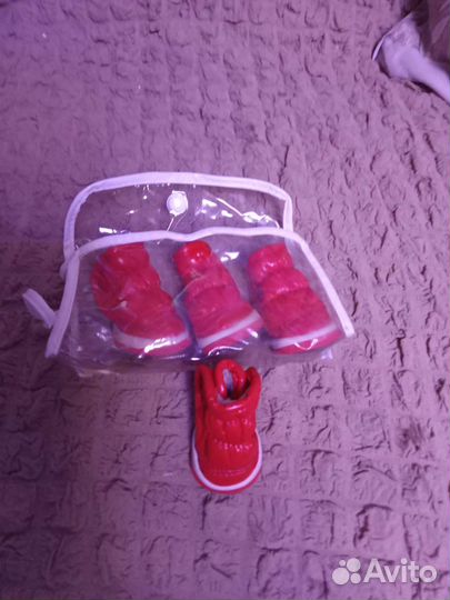 Животные одежда