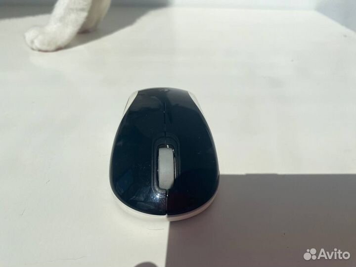 Веб камера мышка