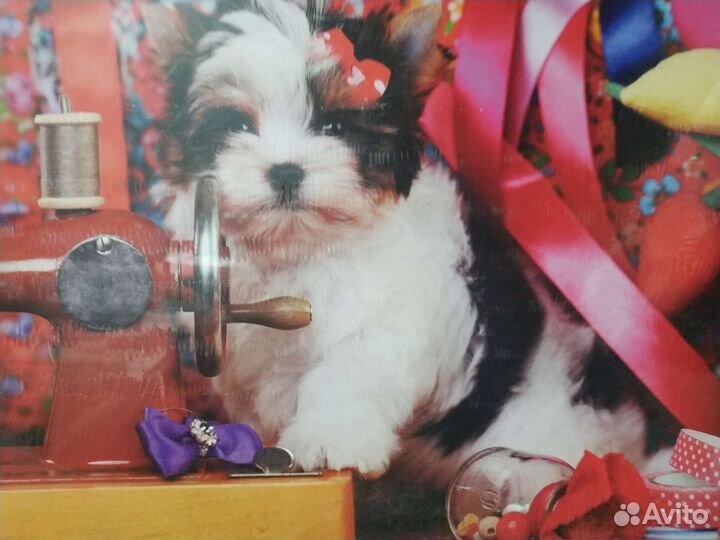 Пазлы 500;1000; 1500,новые