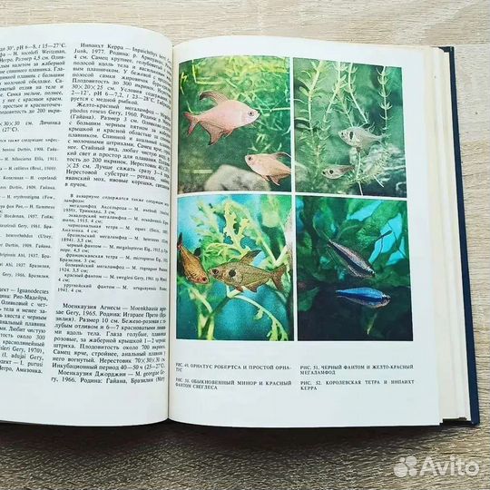 Книги о рыбах