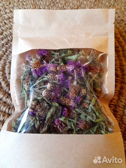 Василек фиолетовый