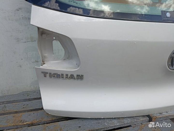 Дверь багажника Volkswagen Tiguan 5N1 cawa 2010