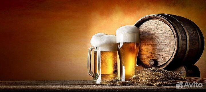Готовый бизнес. Пивная. Пенная Бочка