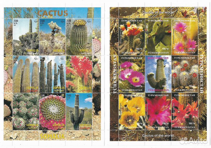 Марки грибы флора