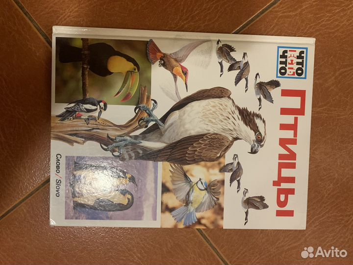 Книги о птицах