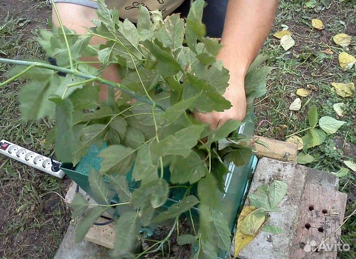 Кормоизмельчитель электрический 3в1