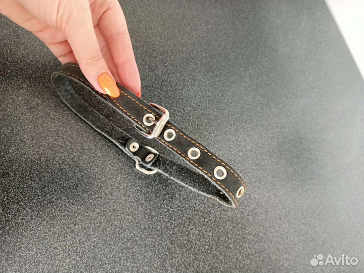 Ошейник для собак