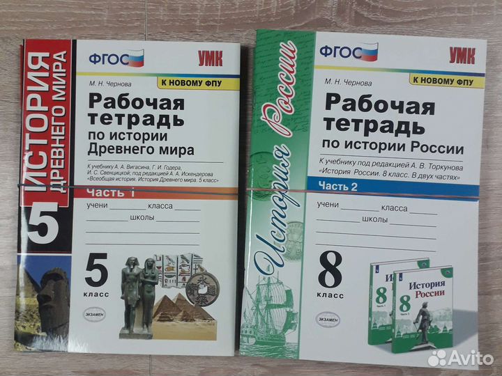 Рабочие тетради история