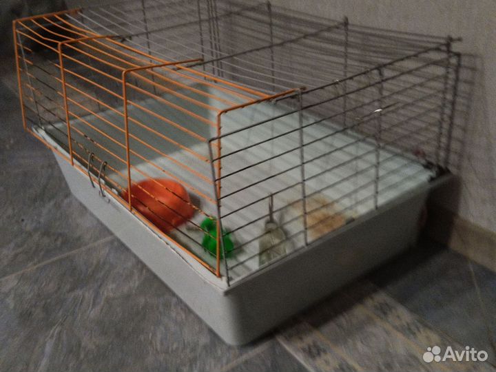 Клетка для кролика