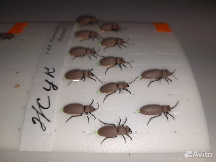 Нахлыстовая муха «Жук»