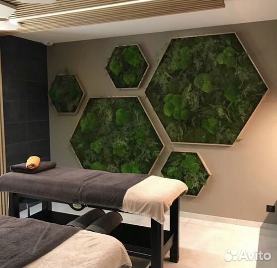 Фитопанно из мха 70 см