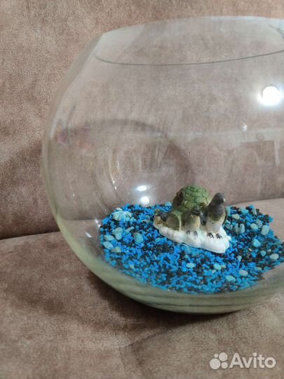Круглый аквариум 10 литров