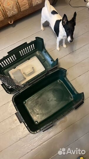 Переноска для животных