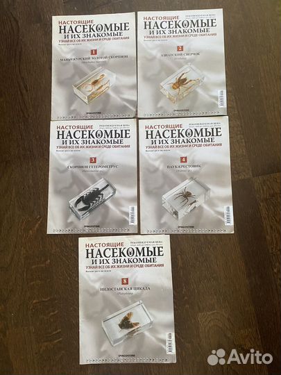 Журналы насекомые и их знакомые
