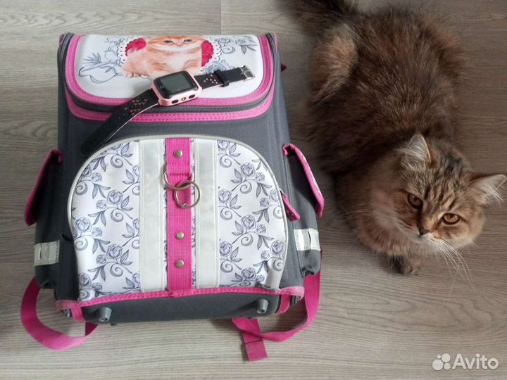 Портфель школьный