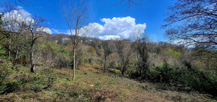 Участок 17,5 сот. (ИЖС)