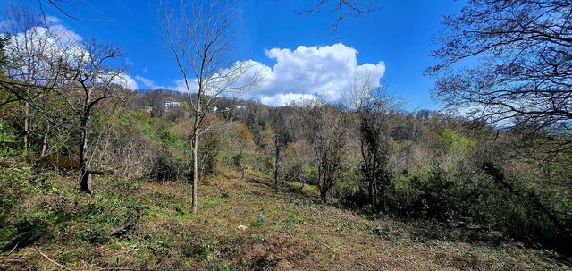 Участок 17,5 сот. (ИЖС)