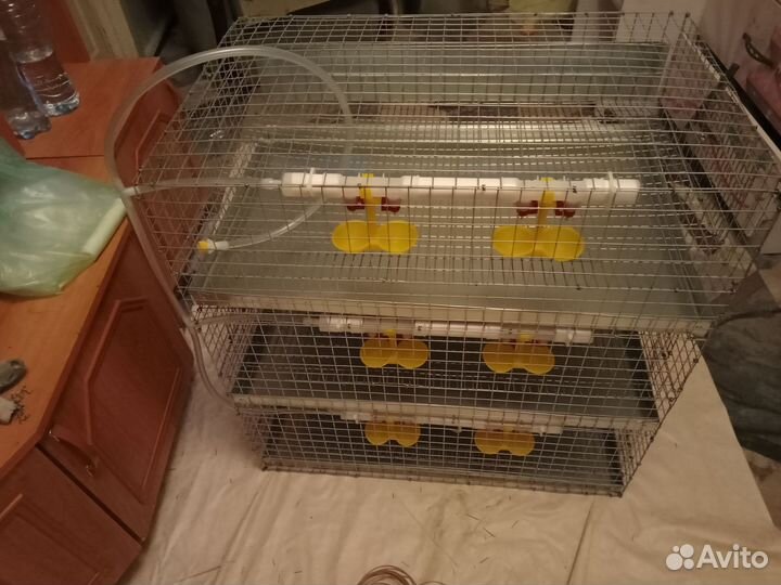 Клетка для перепелов на 90 голов укомплектована