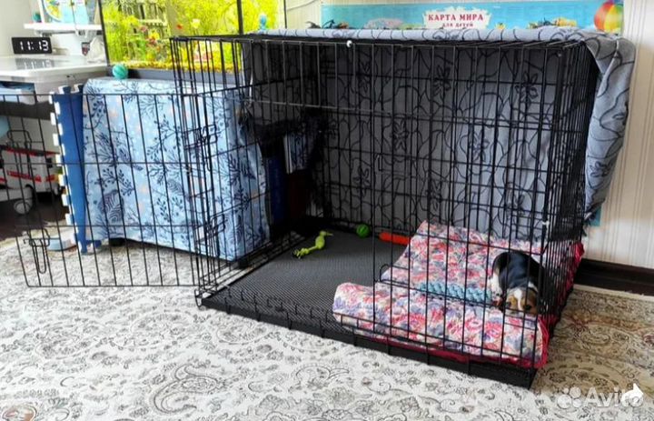 Клетка для собак антивандальная, усиленная №5