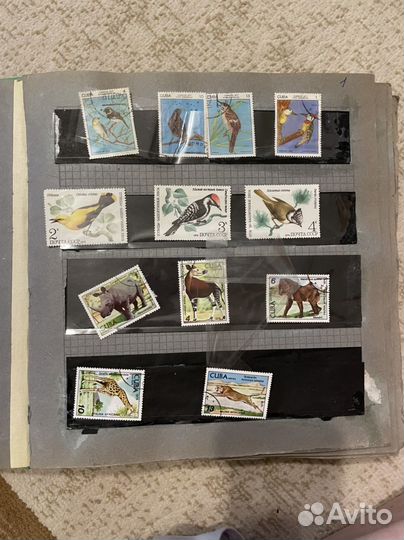 Альбом с марками СССР