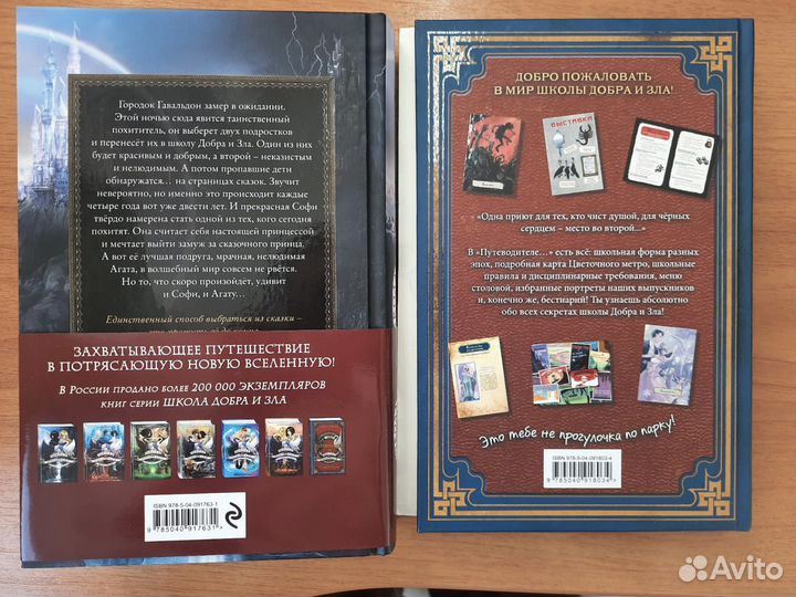 Книги школа добра и зла. Принцесса и ведьма
