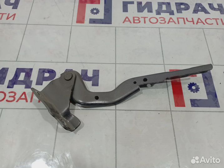 Петля капота правая Chery Tiggo 4 Pro J268402040