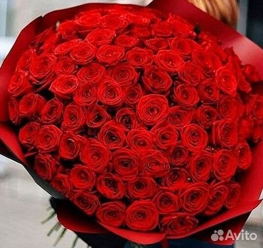 101 роза цветы букеты доставка 25 51 101 роза