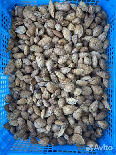 Миндаль орех